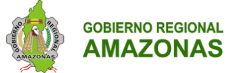 Regional Government of Amazonas (GOREA)