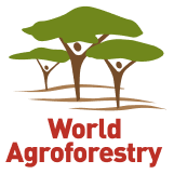 World Agroforestry