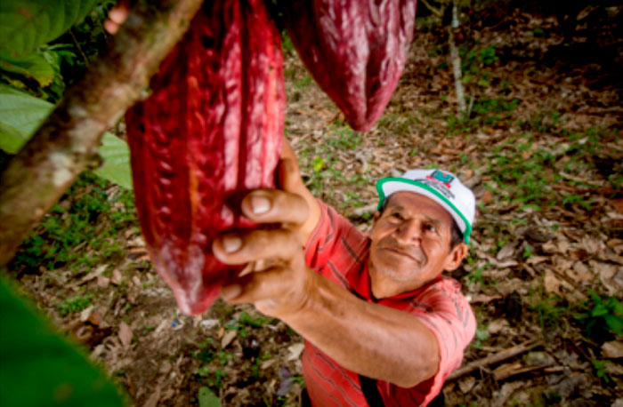 Noticia Cusaf en la Amazonía