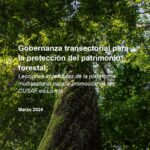 Gobernanza transectorial
