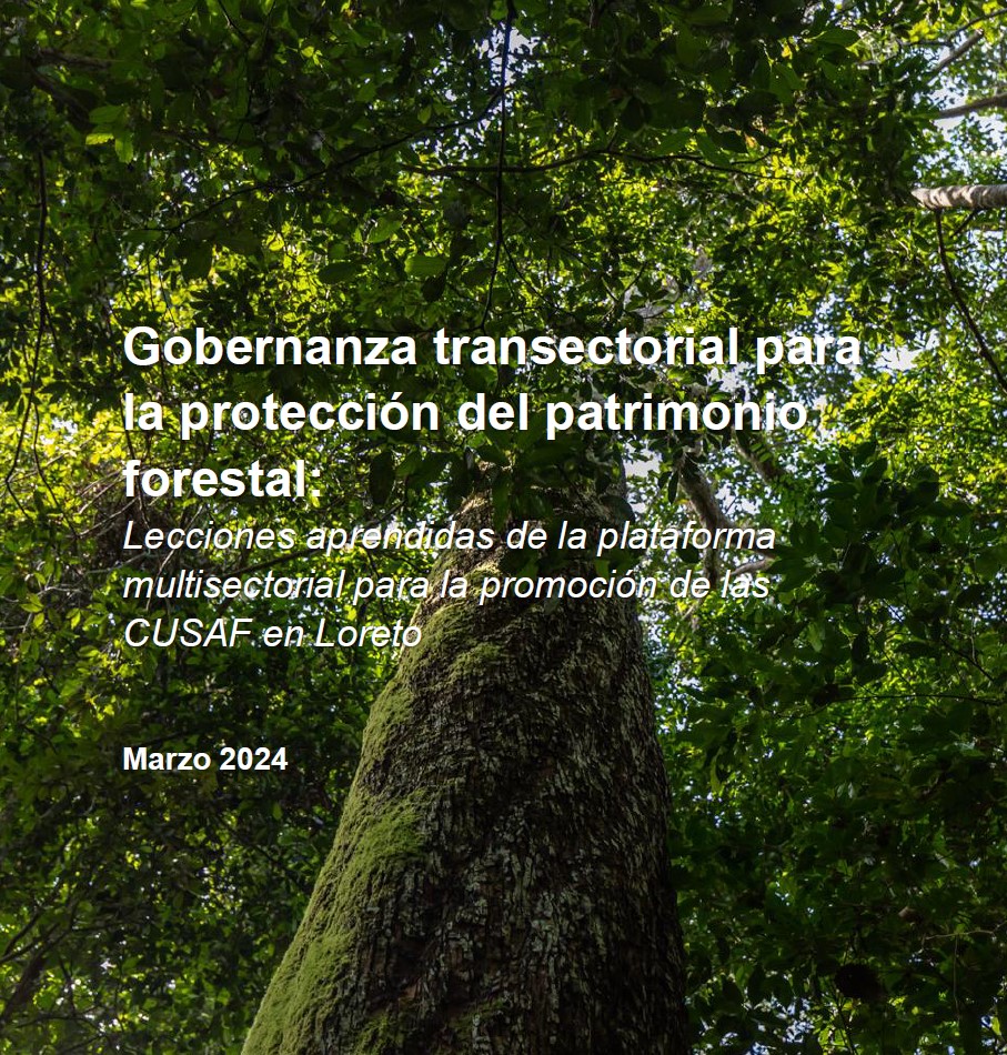 Gobernanza transectorial